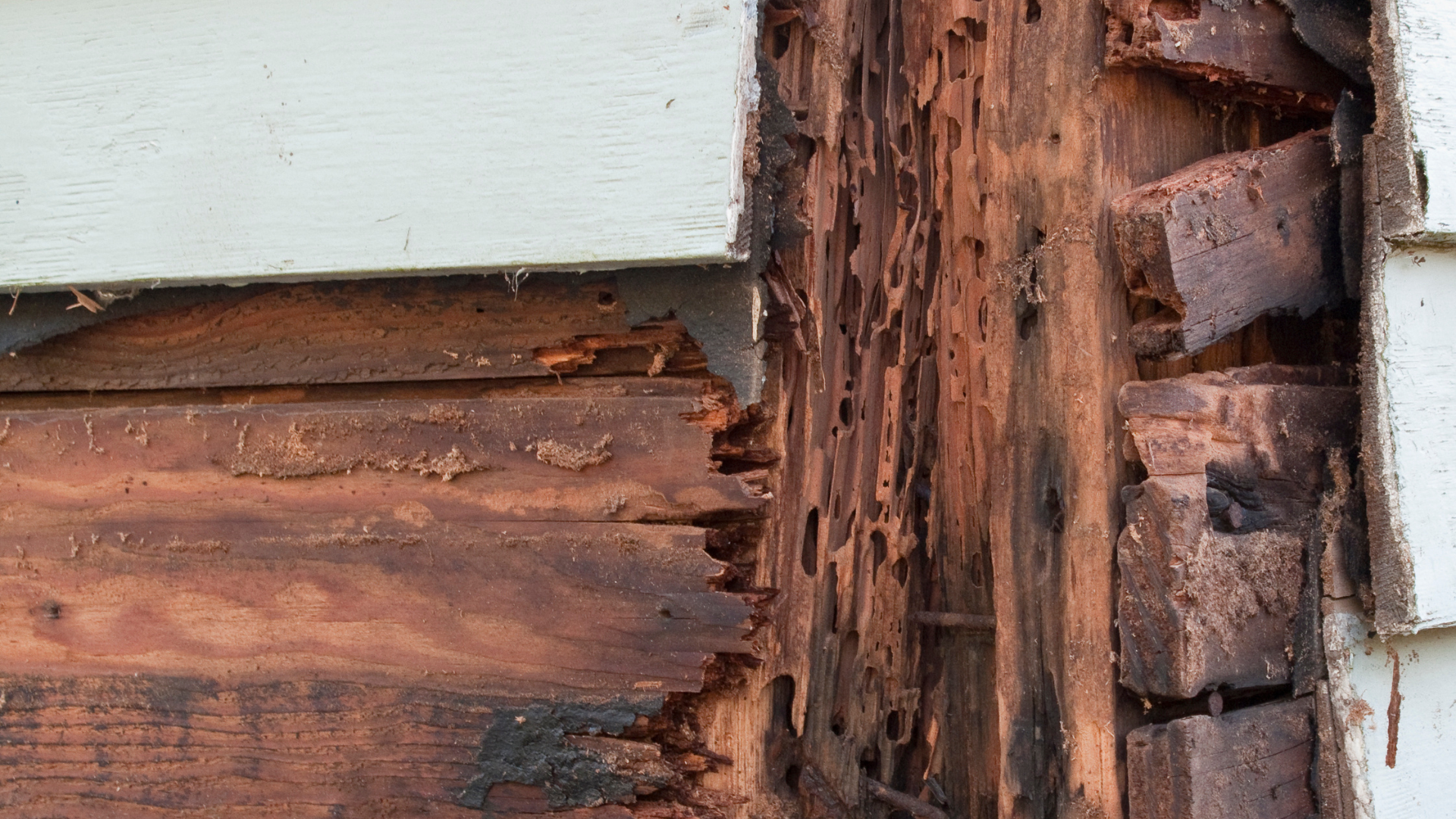 Rotted Wood Replacement